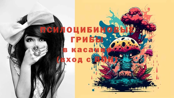 ECSTASY Аркадак
