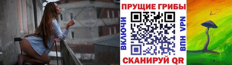 Галлюциногенные грибы GOLDEN TEACHER  Судак 